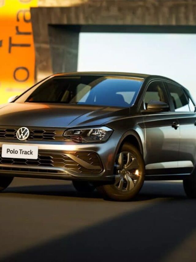 VW Polo 2024 (1)